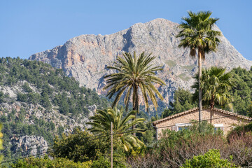 Fototapeta na wymiar Fornalutx village, in the Soller Valley, Natural area of the Serra de Tramuntana., Majorca, Balearic Islands, Spain
