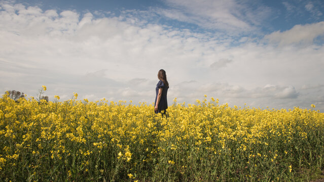 rear view of woman in blue dress standing in vast field of wild yellow rapeseed flowers 