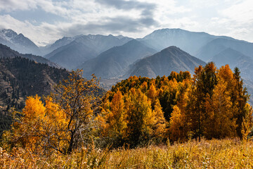 Beatiful nature of Almaty city of the Republic of Kazakhstan