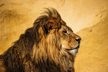 Beatiful nature of Almaty city of the Republic of Kazakhstan