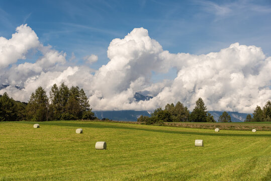 Feld mit Siloballen und Haufenwolken im Hintergrund