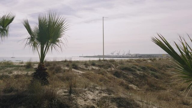 A walk on a sandy beach in Spain. A warm winter day in the sand dunes of Grao. Castellon