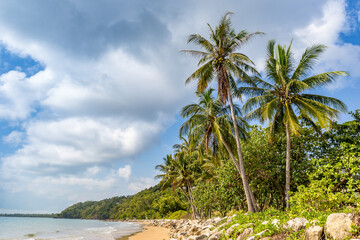 Tropical Coast with white Beach and Palm Trees of Mission Beach, Queensland, Australia.