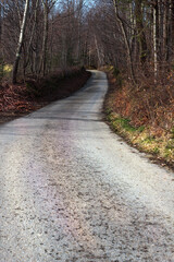 Road in Mountains in Autumn