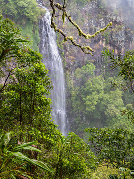 Morans Waterfall in Lamington National Park, Queensland, Australia.