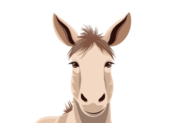 cute donkey isolated vector illustration