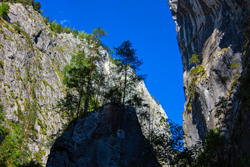 The Bicaz Gorge (Romanian: Cheile Bicazului) situated in the central part of the Hasmaș Mountains, Romania - obrazy, fototapety, plakaty