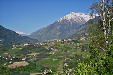 Fototapeta na wymiar Dorf Tirol in Südtirol