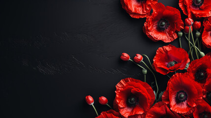 Red Poppies on a Textured Background in a Bold Flat Lay Composition remembrance Memorial Day.