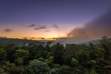 Sunset above Rainforest of Lamington National Park, Queensland, Australia.