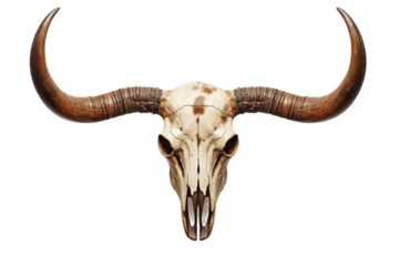 Fotobehang Bull Skull With Long Horns. A photograph of a bull skull with long horns placed on a Transparent background. © SIBGHA