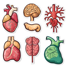 3d Human Organs set sticker style over transparent background - Ai generated