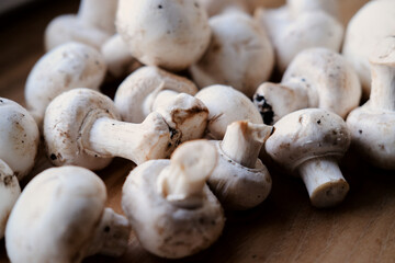 white whole champignons close-up on a wooden board. close-up of porcini mushrooms
