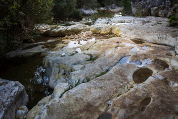 The mouth of the Oren stream on Mount Carmel in Israel with natural gouges and round holes, overgrown with oleander