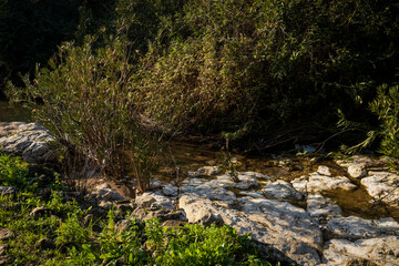 The mouth of the Oren stream on Mount Carmel in Israel with natural gouges and round holes,...