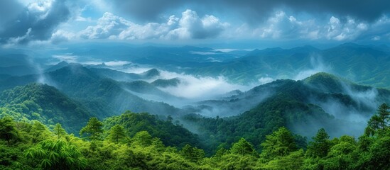 mountain forest landscape with cloudy sky - obrazy, fototapety, plakaty