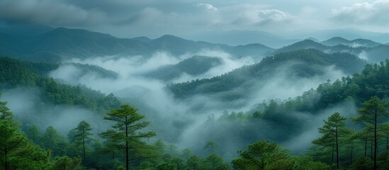 mountain forest landscape with cloudy sky - obrazy, fototapety, plakaty