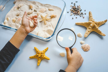 A child studies sand and shells, an idea for an activity with a child
