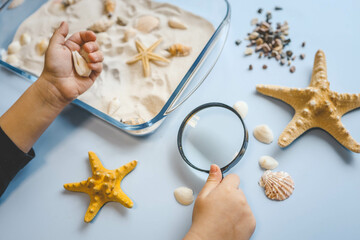 A child studies sand and shells, an idea for an activity with a child