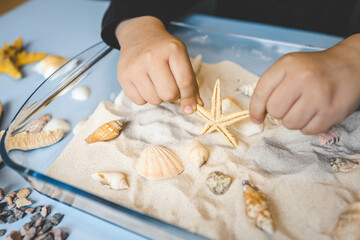 A child studies sand and shells, an idea for an activity with a child