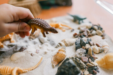 Sensory bin for child's play close-up, dinosaur and shells excavation