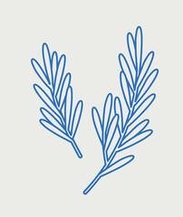 Two branches of rosemary. Line art, retro. Plants and herbs for cosmetics.
