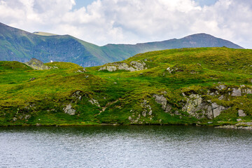 capra lake of fagaras range on a cloudy day. summer nature background in mountain of romania