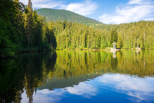 scenery with coniferous forest reflecting in the mountain lake of synevyr national park. carpathian nature landscape in summer. popular travel destination of ukraine