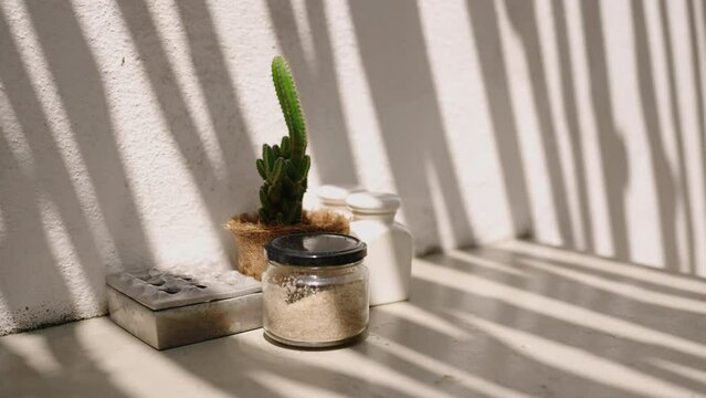 Little jar with sea salt, green cactus in design pot, shadows on the white wall. Cozy interior details in on the floor. Stylish authentic home decoration. Tourist souvenirs from the trip on Bali.