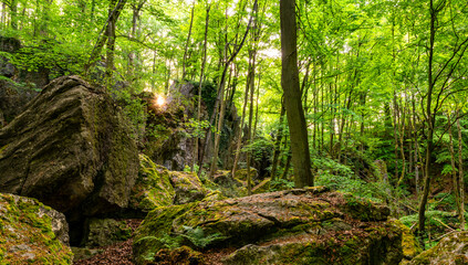 Panoramic wide angle view of the Felsenmeer near Hemer in the Sauerland Germany on a sunny summer day. Idyllic nature reserve with limestone cliffs, caves, historic mining and old beech trees. 