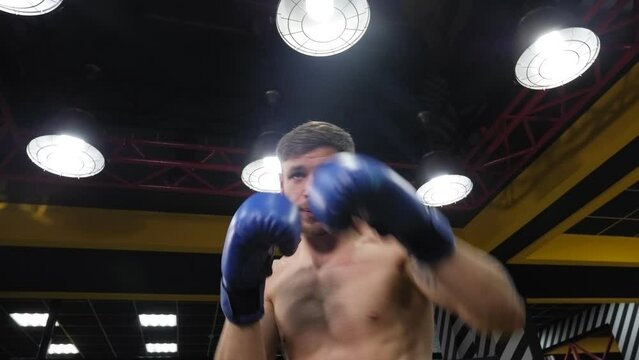 Portrait of a young muscular guy in blue boxing gloves in the gym. An athletic young man trains in a boxing gym.