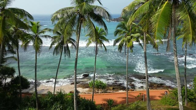 A view through palms of the tropical lagoon with waves, ocean and surfers. Jungle view surfing spot