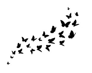 birds in flight black butterfly hand drawn