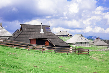 authentic slovenian wooden huts in a green alpine valley for seasonal horned cattle grazing