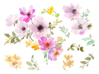 水彩で描いたアネモネと草花のベクターイラスト単体セット
