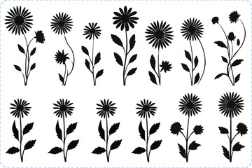 Silhouettes of chamomile flower and leaves, Vector black silhouettes of chamomile flower