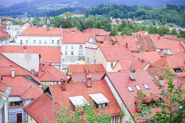 Fototapeta na wymiar red tiled roofs of an alpine Slovenian town