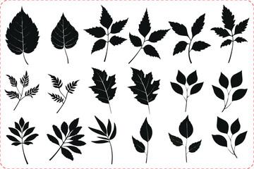 Black silhouette set of autumn leaves on branches, silhouettes of branch with leaf isolated on a white background, Set of Vector silhouettes of branch with leaf