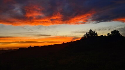 Colorful sunset in savanna