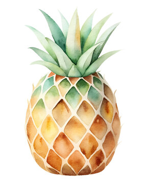 Watercolor illustration with pineapple. Isolated on transparent background. Perfect for card, postcard, tags, invitation, printing, wrapping.