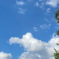 맑은 하늘 구름