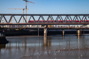 Commuter Train at Hamburg Hafencity