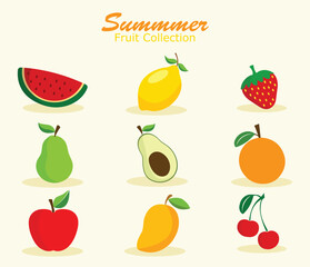 Fruit Vector Set. Summer fruit illustration. 