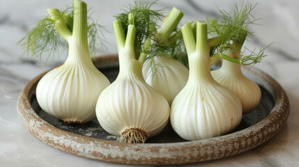 Fresh fennel bulbs. Aromatic raw fennel root, spice for cooking. Organic products, healthy food