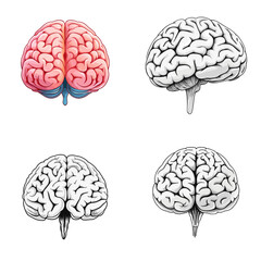 Brain Model (Human Brain Model) simple minimalist isolated in white background vector illustration