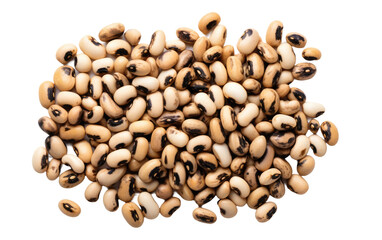 A Pile of Beans. A high-angle shot of a pile of beans laying on a clean Transparent background.