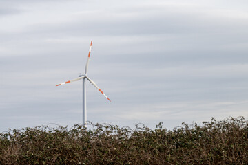 Erneuerbare Energie im Wind