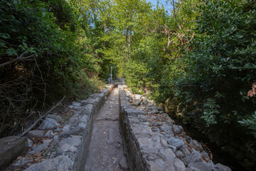 Olympos Ancient City in Antalya, Turkey.