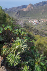 Fototapeta na wymiar Paisaje en los montes de Arguayo en el sur de Tenerife, islas Canarias