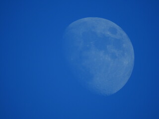Near full Moon on blue sky in daylight in February 2024 with copy space